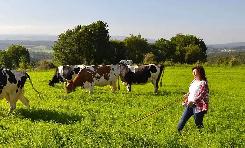 Ganadería Quintián - Galicia