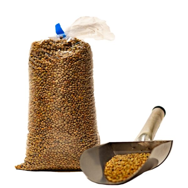 Lenteja Pardina Ecológica