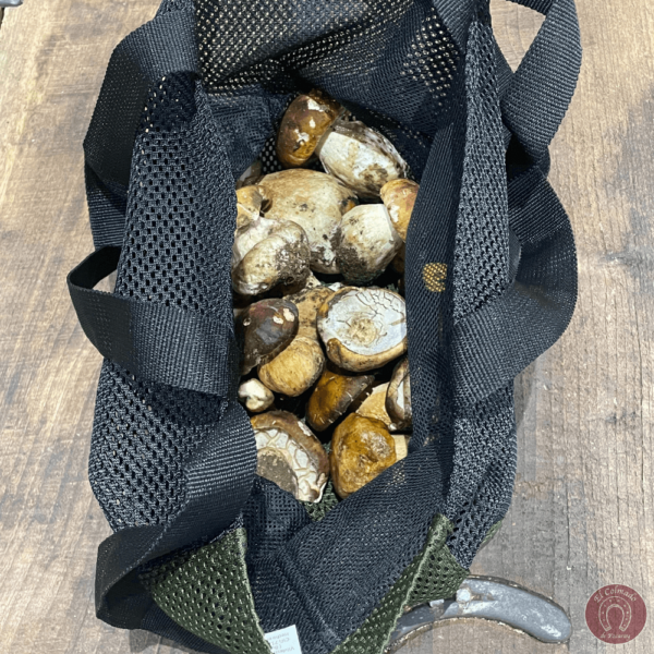 Bolsa homologada para la recogida de setas