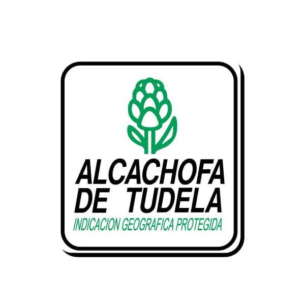 Alcachofa de tudela