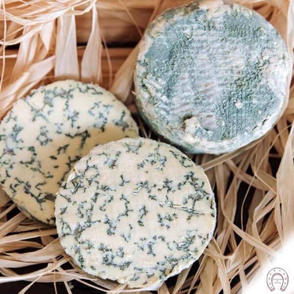 Queso Savel azul Airas Moniz