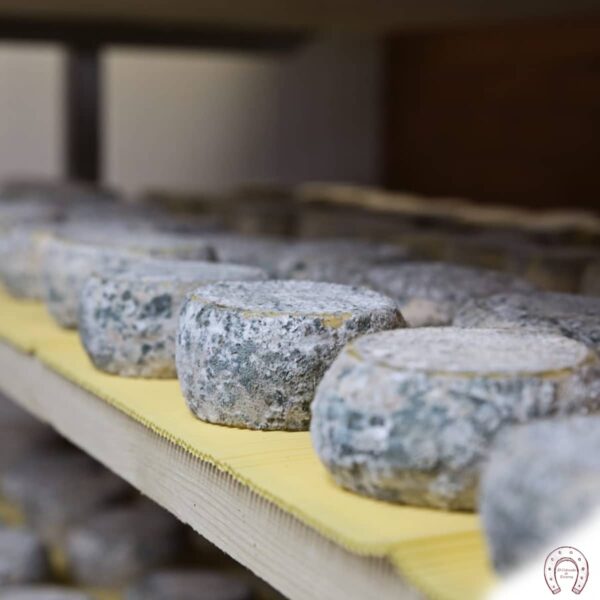 Queso Terra Airas Moniz