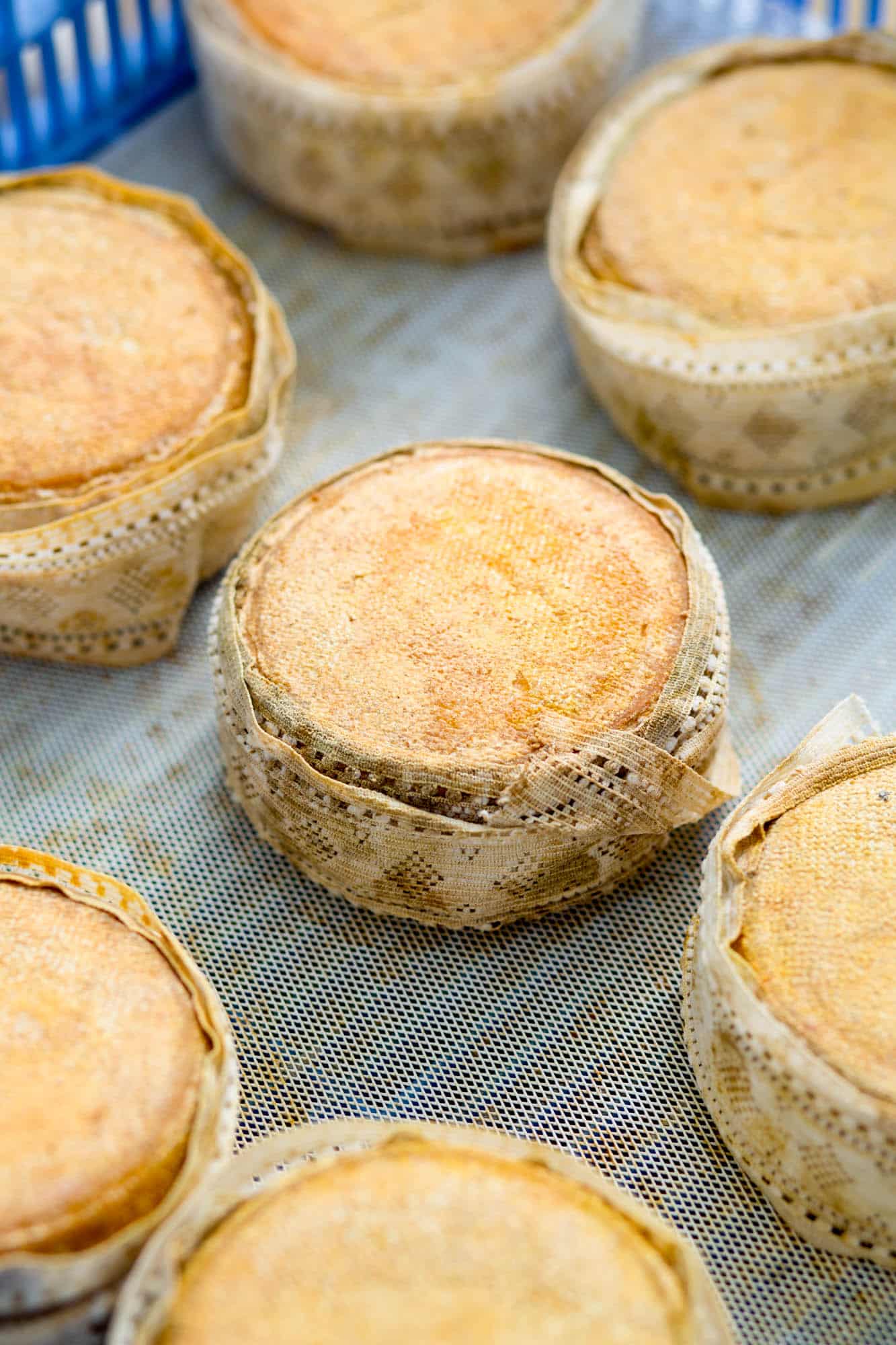 Finca Pascualete quesos