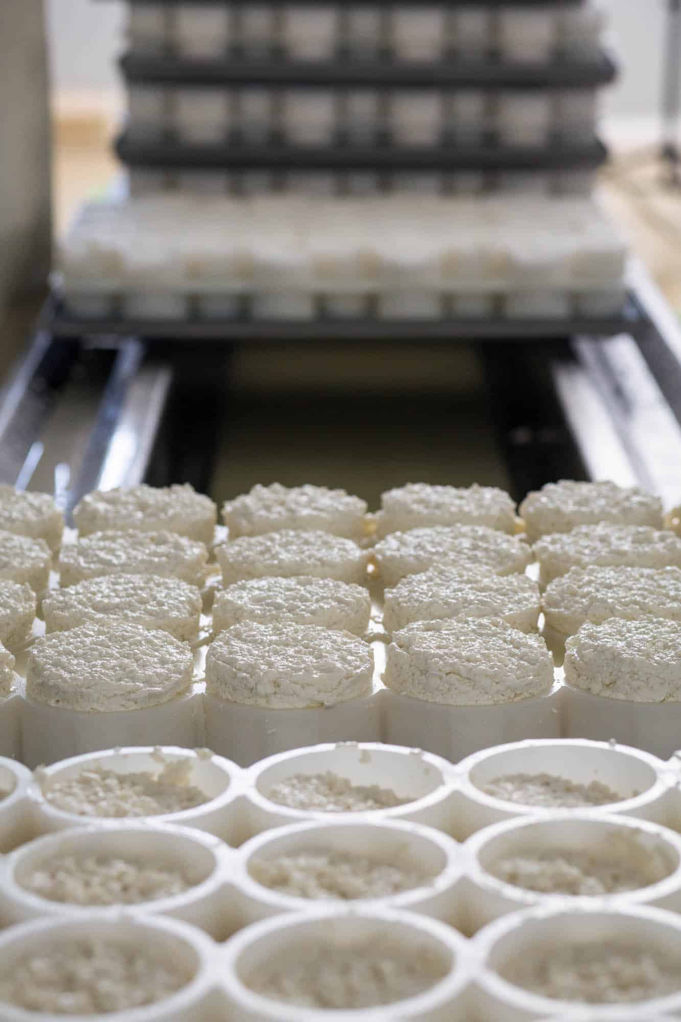 Finca Pascualete quesos