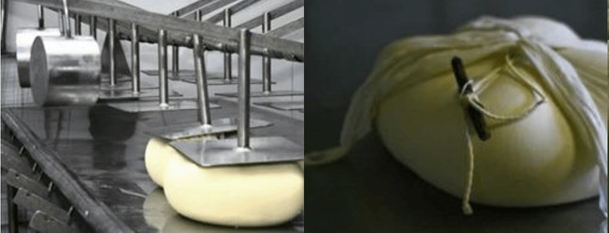 Quesos Quintana - Queso Mahón Menorca