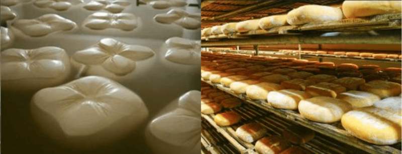 Quesos Quintana - Queso Mahón Menorca