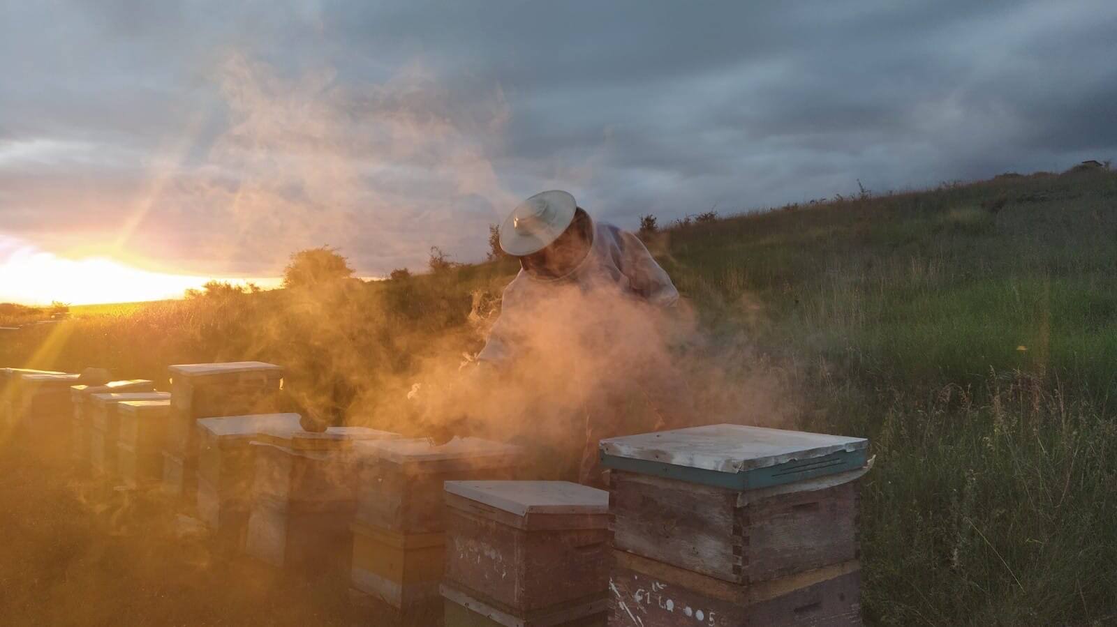 Matias Esteban apicultor Ezcaray