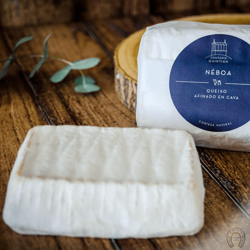 Queso Néboa - Ganadería Quintián Galicia