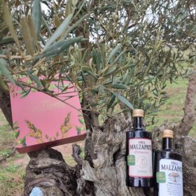 Finca Malzapato