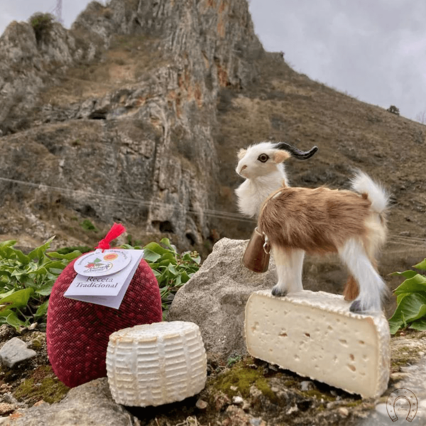 Queso Anguiano semicurado