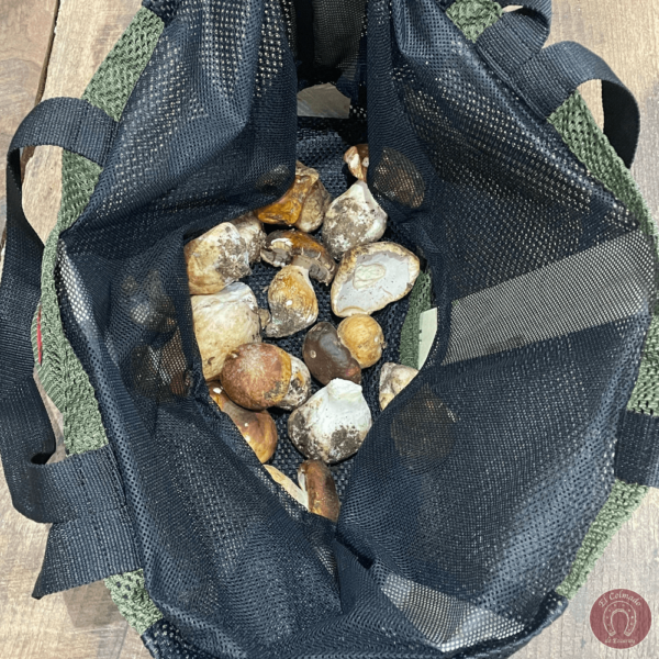 Bolsa homologada para la recogida de setas