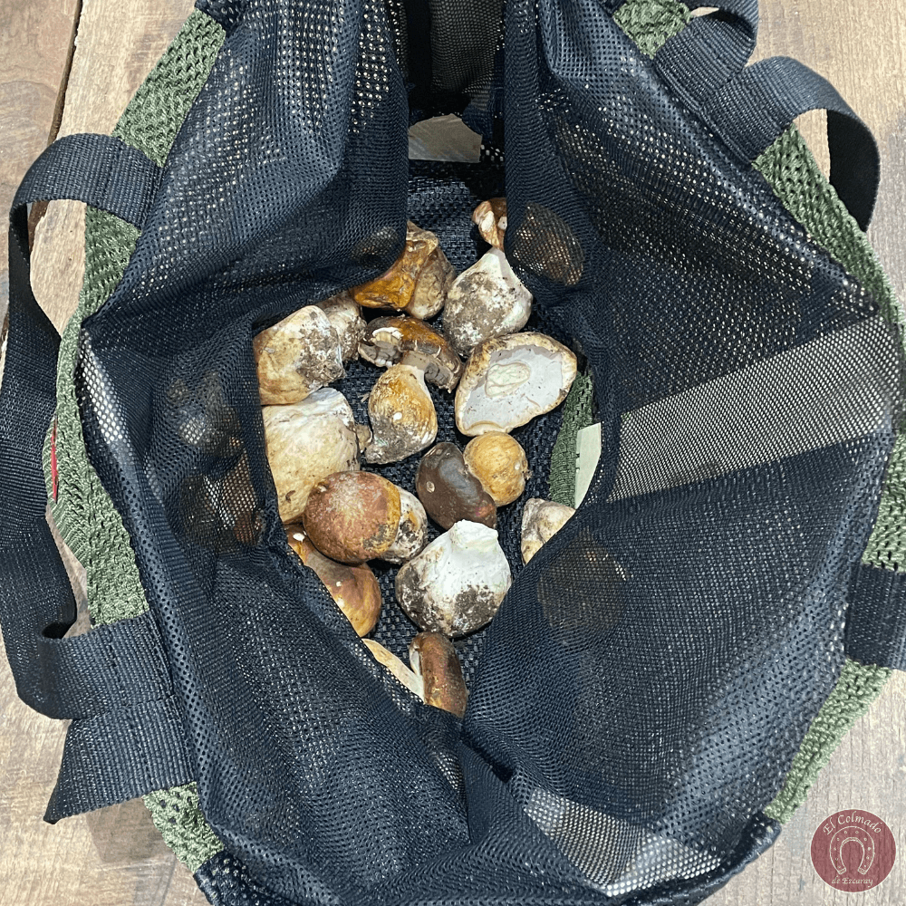Bolsa homologada para la recogida de setas