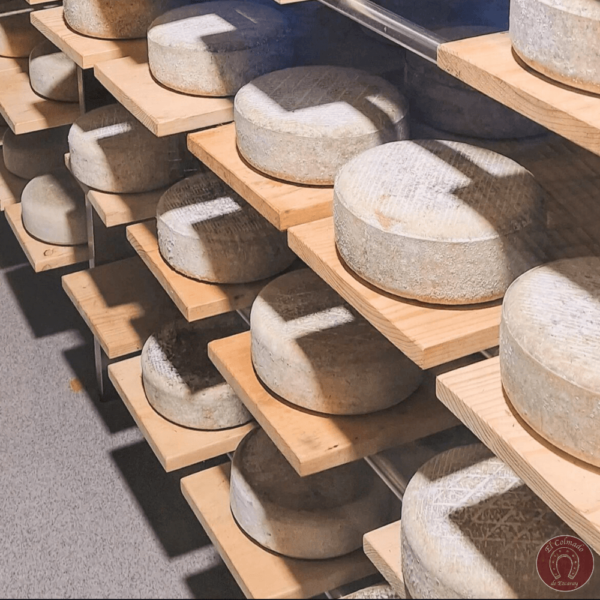 Queso Mourelo Ganaderia Quintian