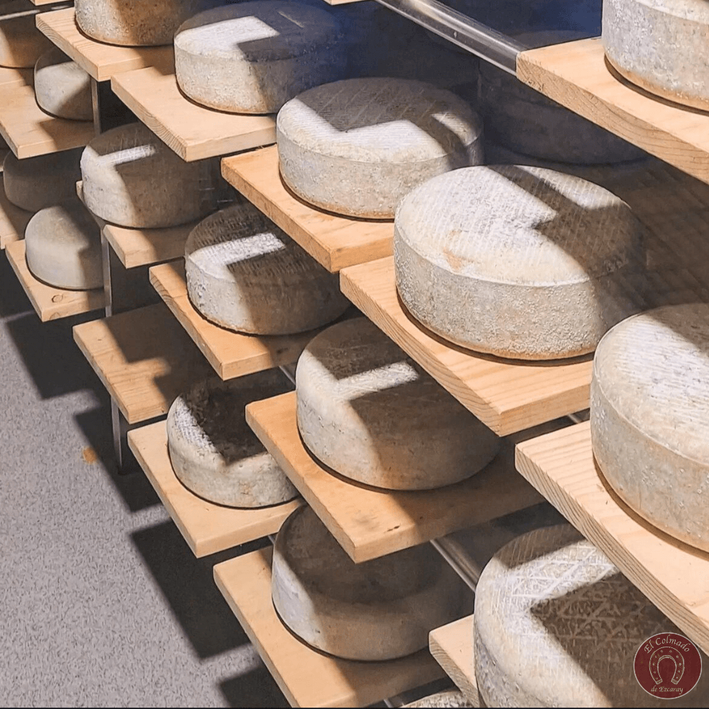 Queso Mourelo Ganaderia Quintian