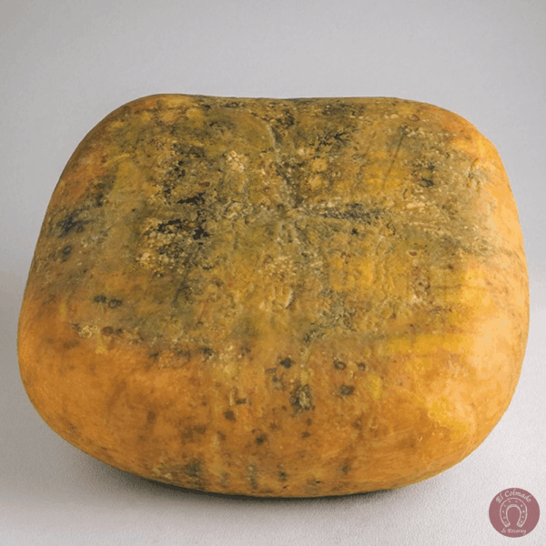 Queso Mahon Menorca DOP Quintana