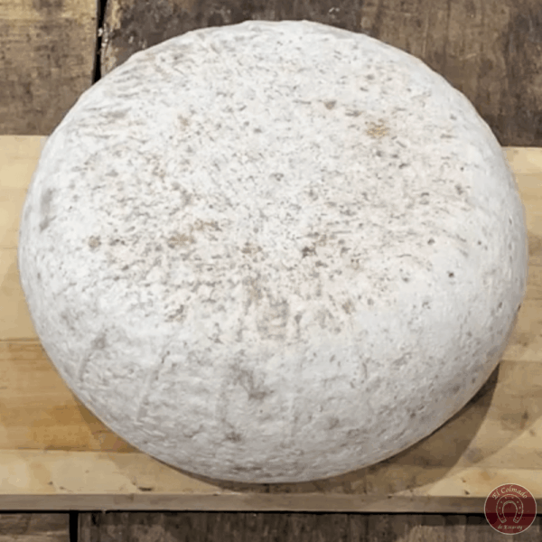 Queso Aullido Azul SieteLobas