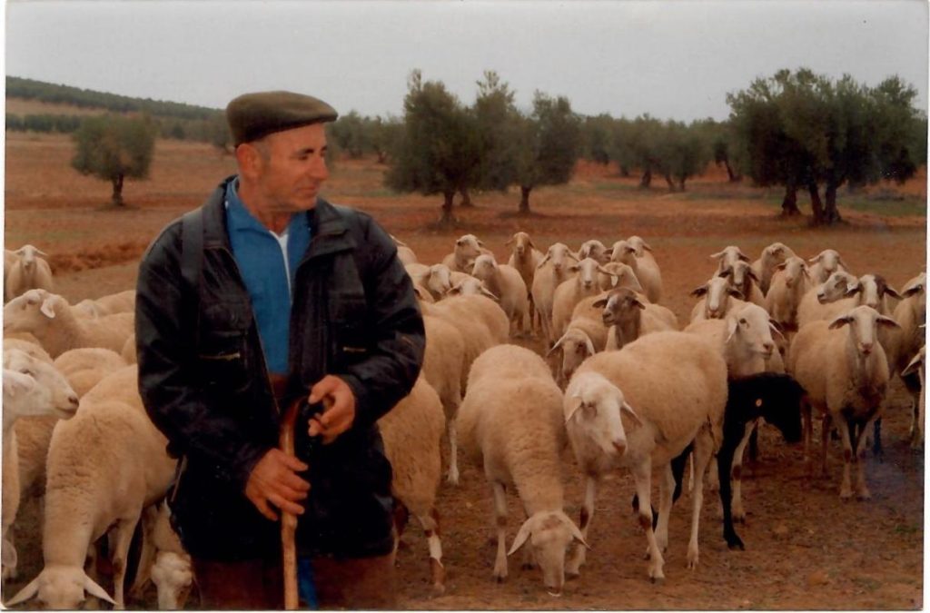 Queso Boletus Don apolonio