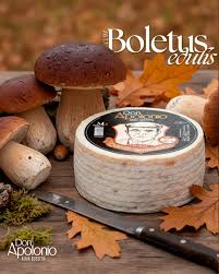 Queso Boletus Don apolonio