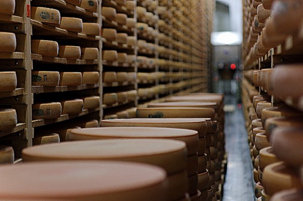 Comté AOP 36 meses Queseria SEIGNEMARTIN