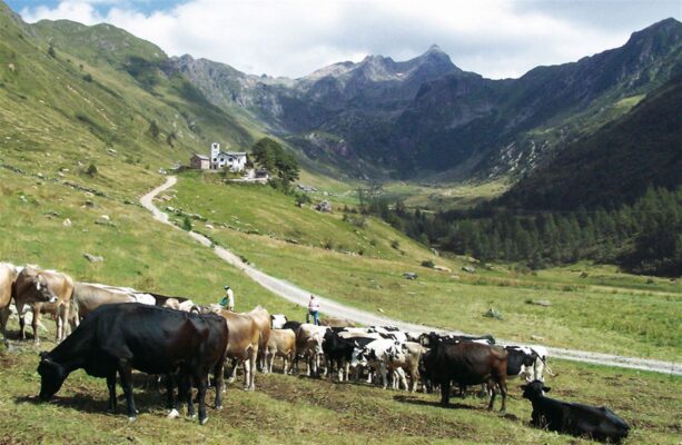 Queseria Ciresa Italia