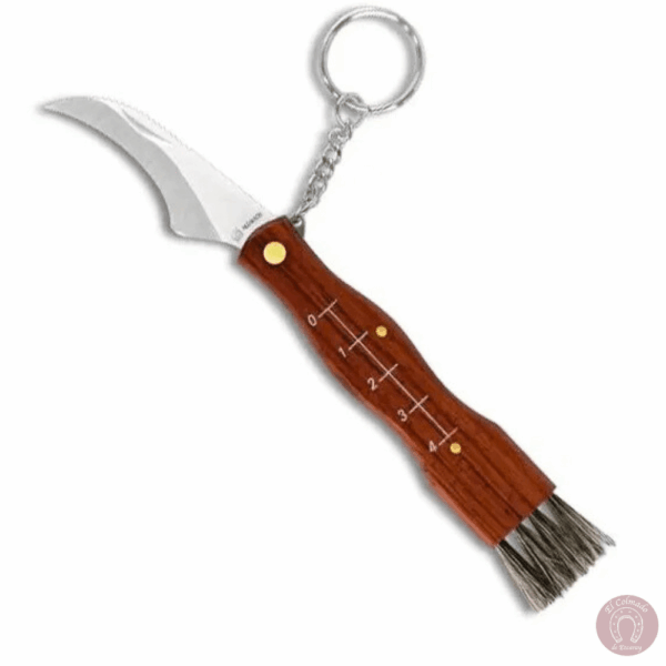 Navaja para setas sencilla
