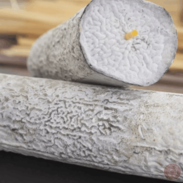 Queso Moluengo